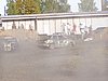 P9215337.JPG